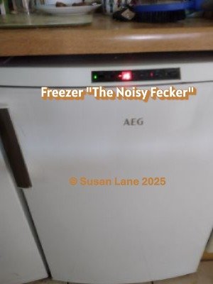 Freezer in the ColourMine kitchen with overlaid text "Freezer 'The Noisy Fecker'" and "© Susan Lane 2025"