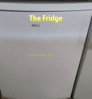 White fridge containing chocolate and other groceries overlaid with text "The Fridge" and "© Susan Lane 2025"