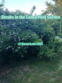 My view of the ColourMine garden with flowering shrubs and fruit trees with overlaid text "Shrubs in the ColourMine garden" and "© Susan Lane 2025"