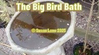 Beloved birdbath on its lifetime journey with overlaid text "The Big Bird Bath" and "© Susan Lane 2025"