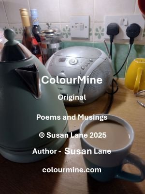 Green kitchen appliance items (including De'Longhi kettle) with white writing depicting ColourMine information and copyright "© Susan Lane 2025"