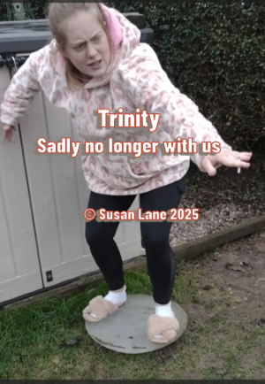 Trinity in the ColourMine garden with text "Trinity" "Sadly no longer with us" and "© Susan Lane 2025"