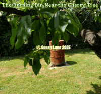 Bin life in the ColourMine garden – Burning bin  near a cherry tree with "© Susan Lane 2025" 