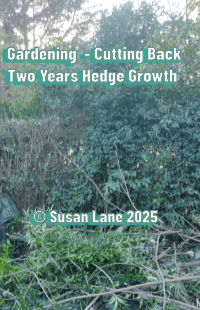 Gardening, hedge cutting in the ColourMine Garden
with "© Susan Lane 2025"