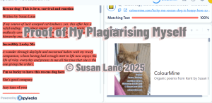 Screenshot showing Copyleaks flagging Susan Lane’s own poem as plagiarised from ColourMine all because of a change of favicon.
© Susan Lane 2025