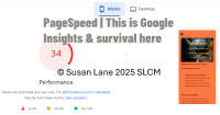 Google PageSpeed Insights mobile report showing performance score of 34, with ColourMine preview and © Susan Lane 2025 SLCM.