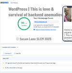 WordPress SEO analysis screenshot showing a 90/100 homepage score with warnings about two H1 tags and too few internal links with "© Susan Lane SLCM 2025 "