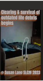 A wooden cabin‑style bed with built‑in drawers and a white bed rail, shown in a dimly lit room. A ginger cat sits near the head of the bed. Text on the image reads “Clearing & survival of outdated life debris begins.” including the copyright "© Susan Lane SLCM 2023"
