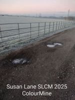 Frost-covered field and gravel track beside a metal fence on a cold winter morning, with pale dawn light in the sky